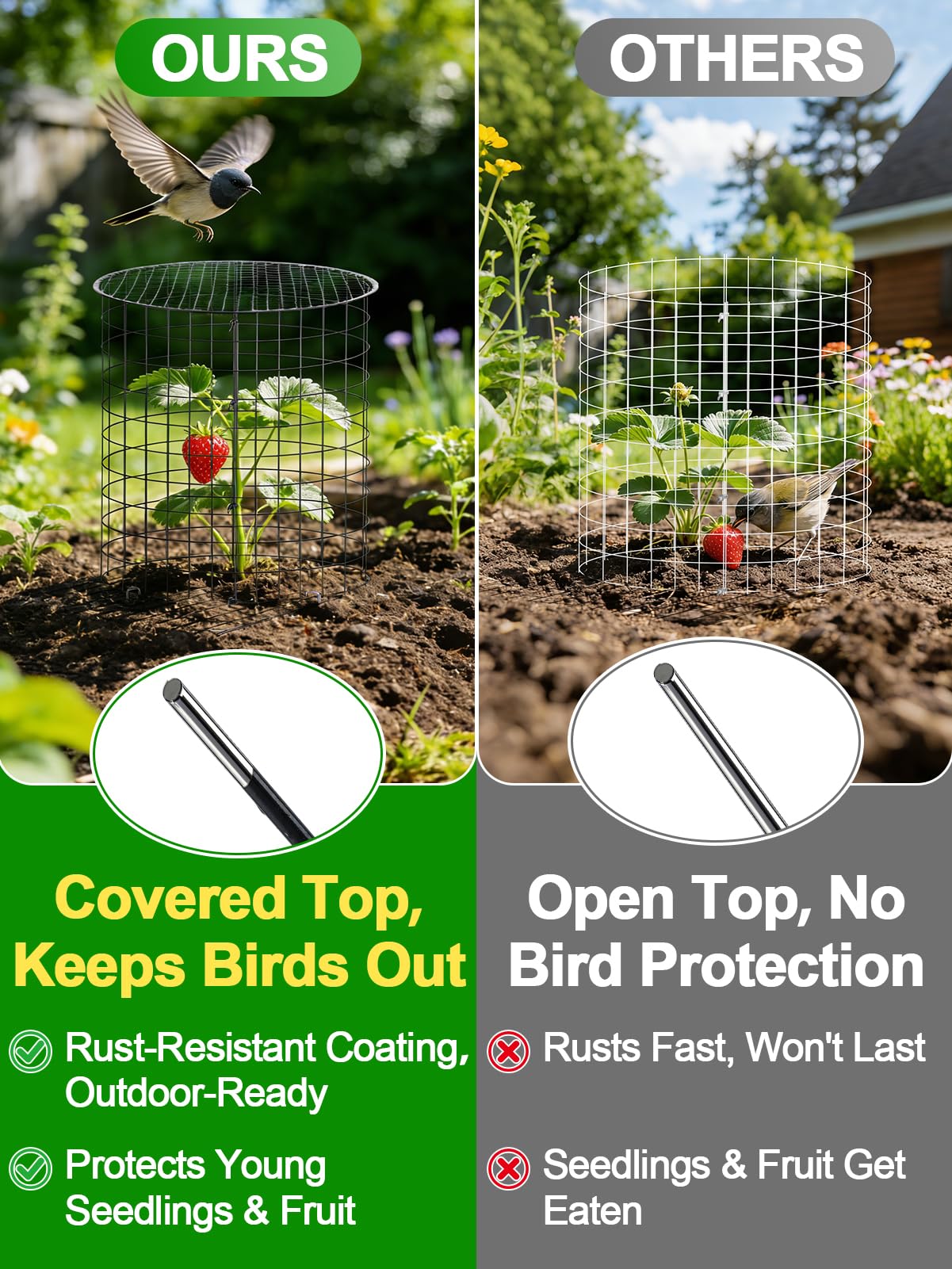 16''H x 11''Dia Plant Protectors from Animals - Full-Protection Anti-Rust Plant Cages with Covers for Outdoor Plants, Wire Garden Cloches for Plants Strawberry Keeping Chicken Rabbits Out, 4 Sets