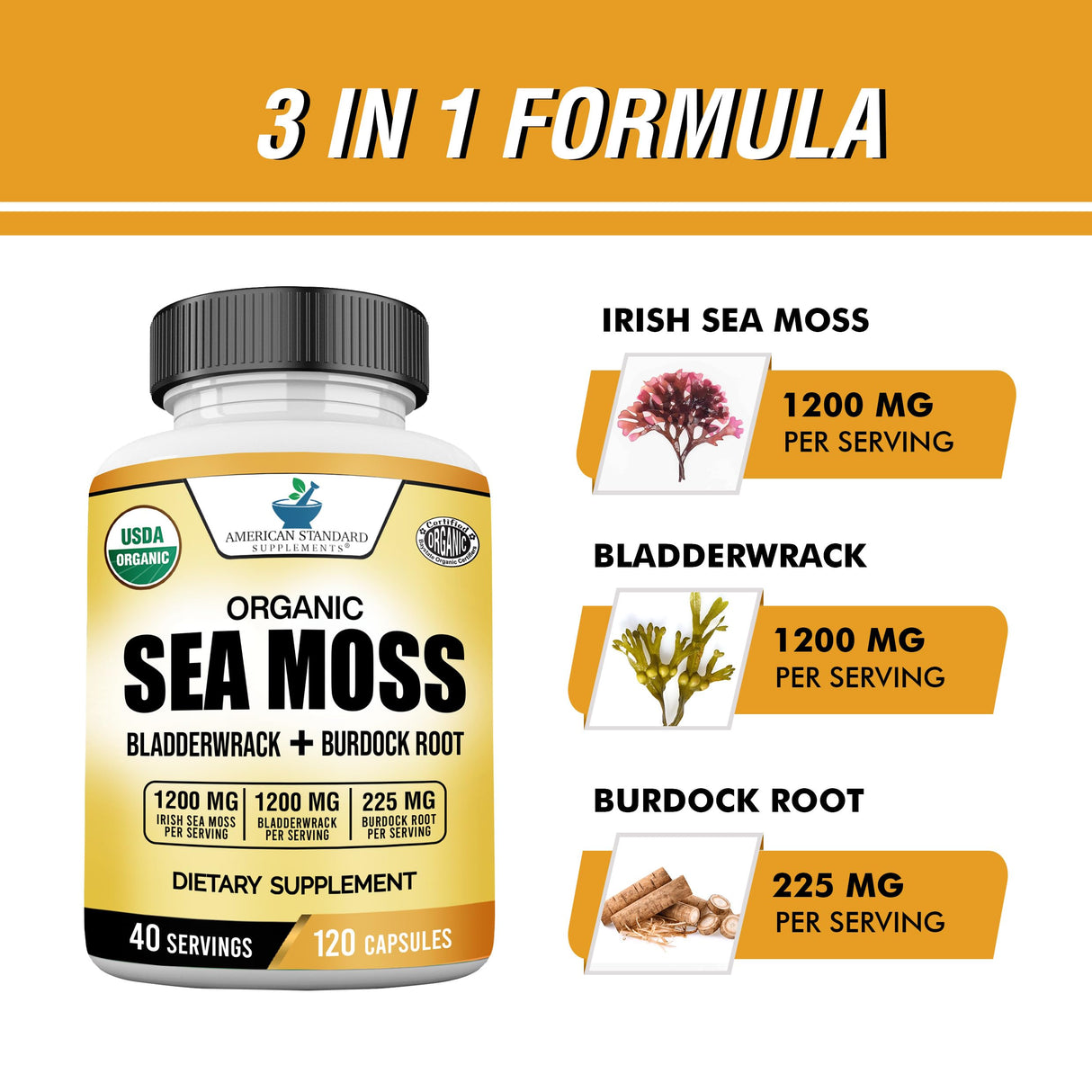 American Standard Supplements Organic Sea Moss, Bladderwrack & Burdock Root Capsules - 1200mg Sea Moss, 1200mg Bladderwrack, 225mg Burdock Root Per Serving - 120 Capsules, 40 Servings