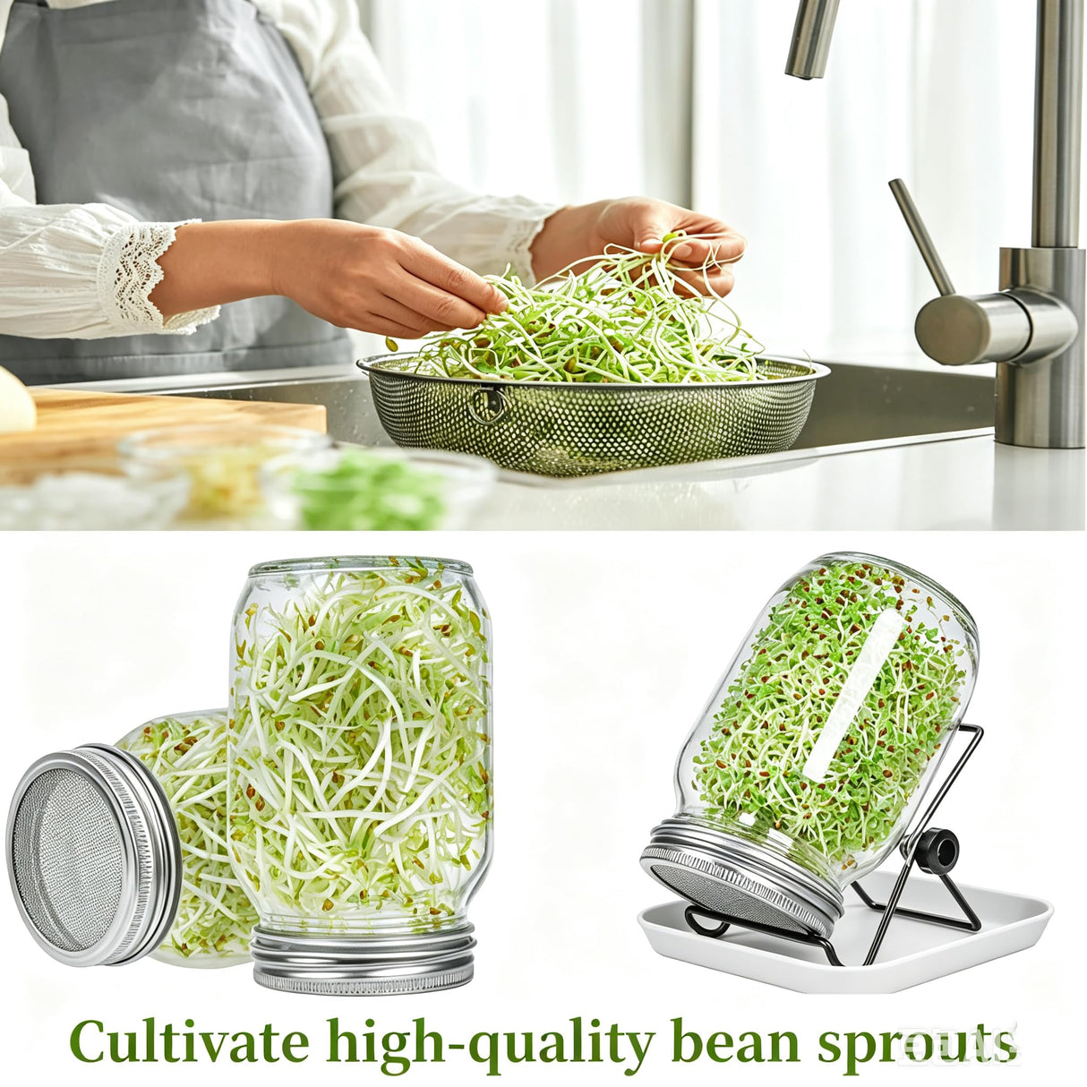 Lulonpon 2pcs Sprouts Growing Jar Kit, Wide Mouth Quart Mason Jars with Stainless Steel Screen Sprout Lids, 86mm,1000ml,Stand,Tray and Canning Brush,Seed Sprouter Set for Broccoli, Alfalfa, Mung Bean