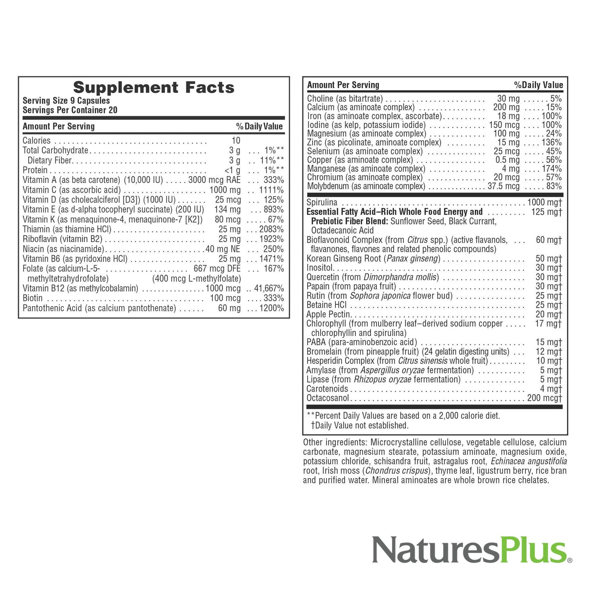 Natures Plus Source of Life - 180 Capsules - Multivitamin & Mineral Supplement - Supports Natural Energy & Overall Well-Being - Gluten Free, Vegetarian - 20 Servings