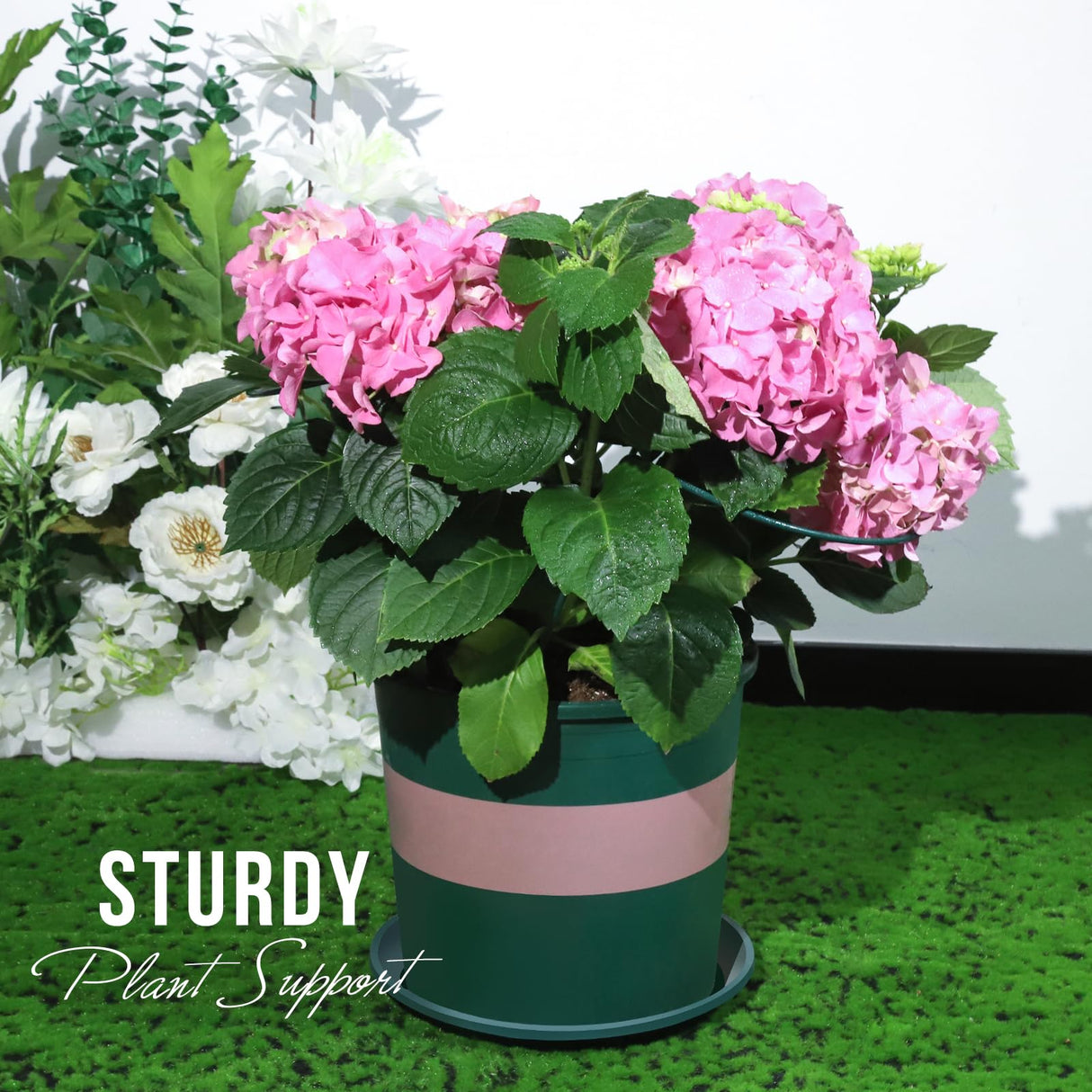 LEOBRO Plant Support Plant Stakes, 12pcs Peony Cages and Supports, Metal Garden Stakes Plant Supports, Plant Support Stakes, for Peony, Tomato, Hydrangea, Indoor Outdoor Plants, 10" W x 15.8" H