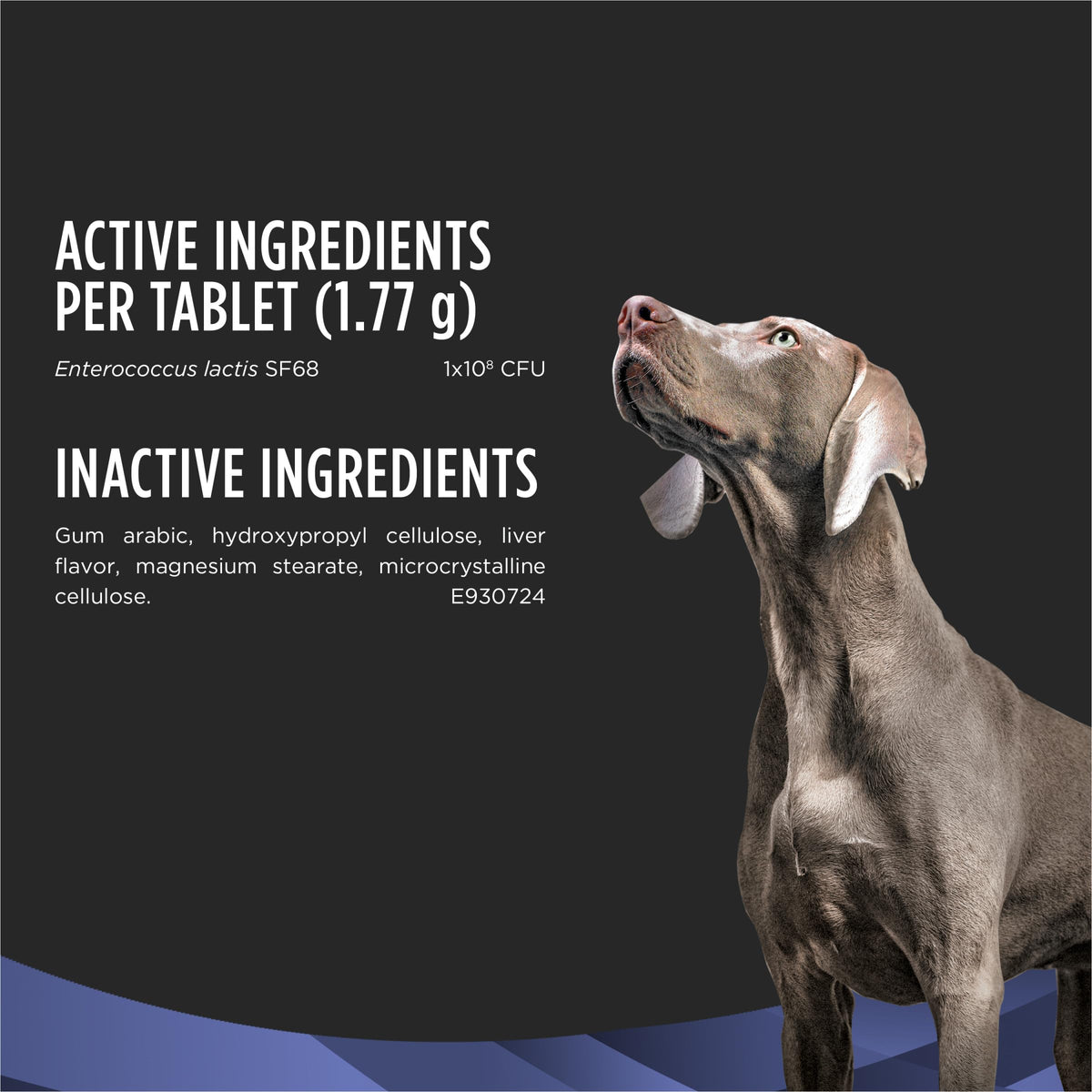 Purina Pro Plan Supplements FortiFlora Dog Probiotic Tablets, 45 Count