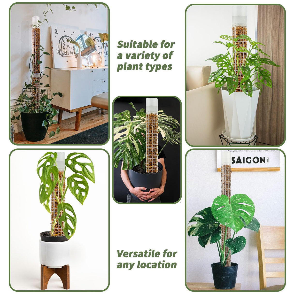 Jegu Self-Watering Moss Pole Plastic, 18.8 Inch Monstera Plant Support
