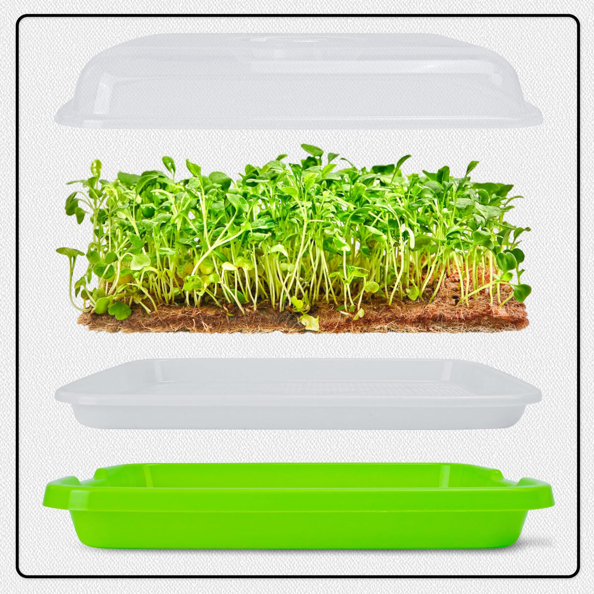Microgreens Growing Trays with Lids and Coconut Fiber Mat,Seed Sprouter Tray with Drain Holes,Seed Starter Tray Reusable,Microgreens Growing Trays,Cat Grass Growing Kit for Indoor Cats (Pack 3)