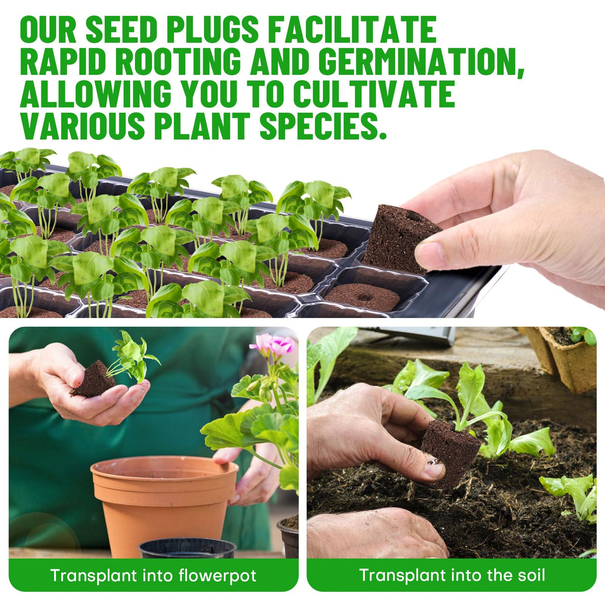 LAPOND 50 Pcs Seed Starter Plugs,Replacement Root Grow Sponges Plant Plugs,Great for Soil, Tray or Planting Pods, Promotes Herbs, Vegetables and Flowers Growth