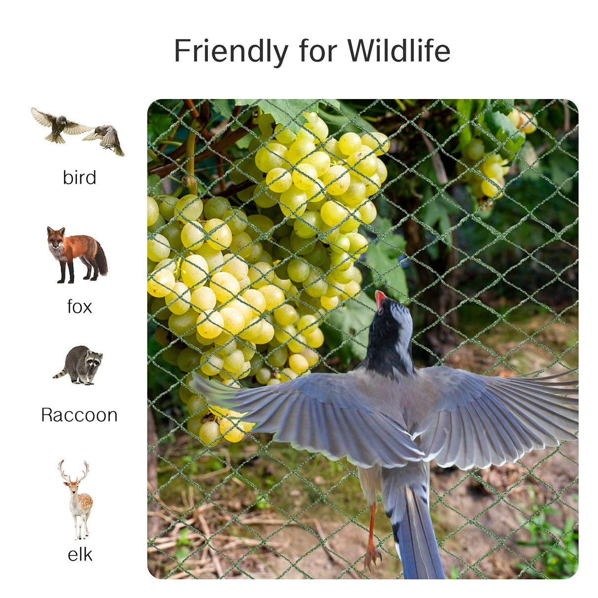 Anti Bird Netting for Garden Woven Mesh - Heavy Duty Protect Plants and Fruit Trees from Rodents Birds Deer Poultry Reusable and Doesn't Tangle (19.5 ft x 40 ft)