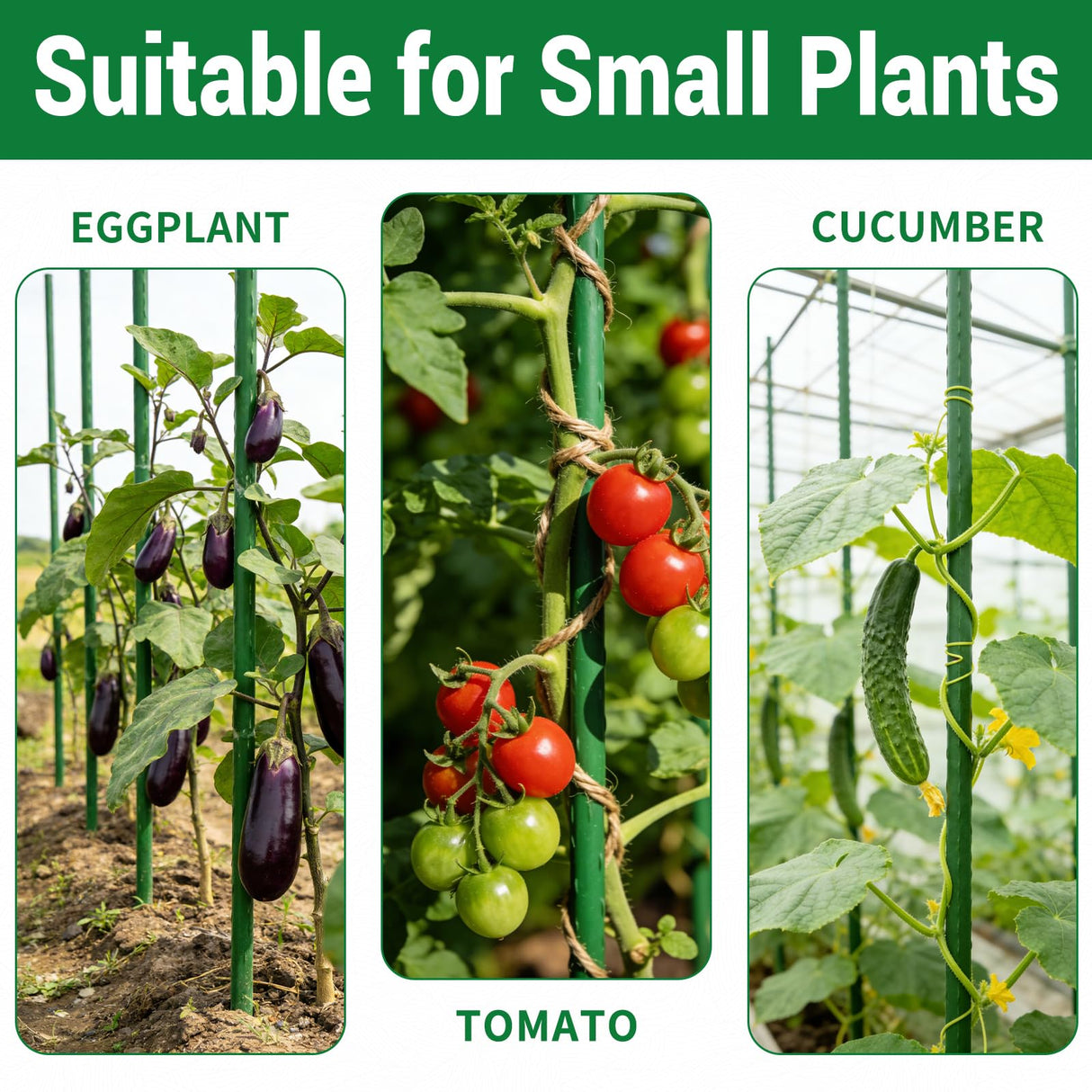 25 Pack Garden Stakes 4FT (48 Inch), Heavy Duty Steel Tomato Stakes with Plastic Coating, Plant Support Stakes for Outdoor Climbing Plants, Vegetables, Beans, Potted Plants & Garden Use