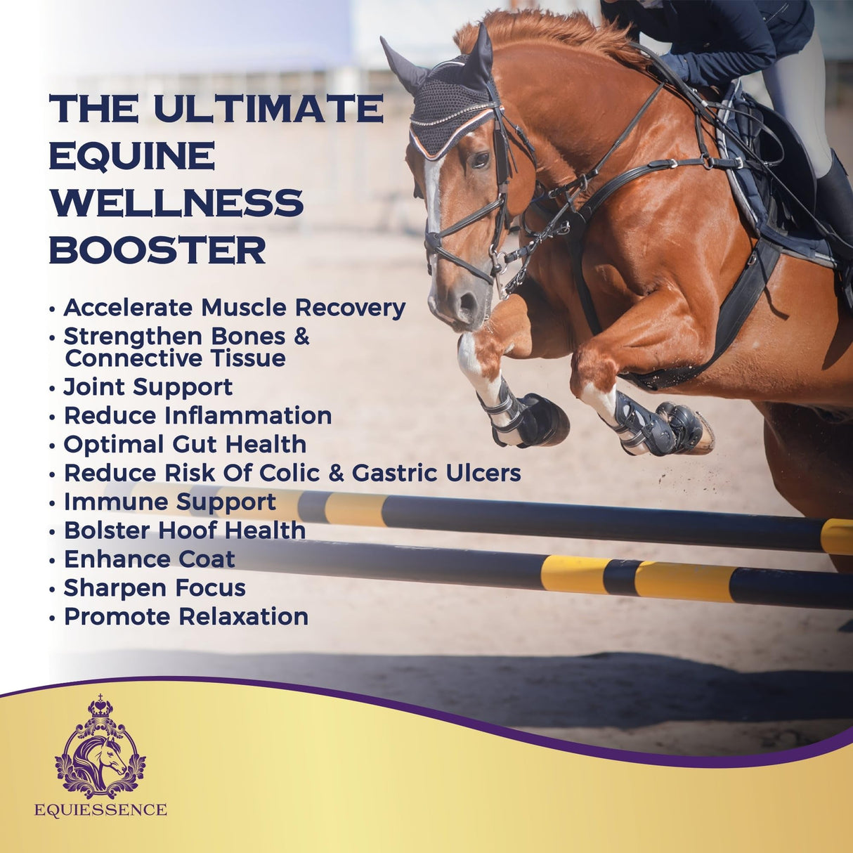 Equiessence Vital Amino Blend - Horse Care, Coat & Hoof - Performance Horse - No Soy or Sugar- 120 Day Supply