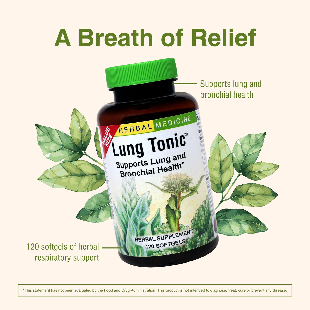 Herbs Etc. Lung Tonic - Lung Supplement for Bronchial Support - Healthy Breathing Support with Mullein, Horehound & Grindelia - 120 Softgels