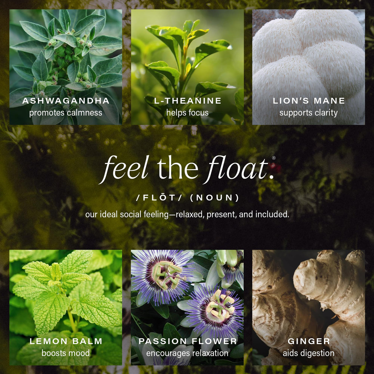 Hiyo Organic Social Tonic – Variety Pack, 12 Pack - N.A. Functional Seltzer, Sparkling Water Crafted with Organic Adaptogens, Nootropics & Botanicals