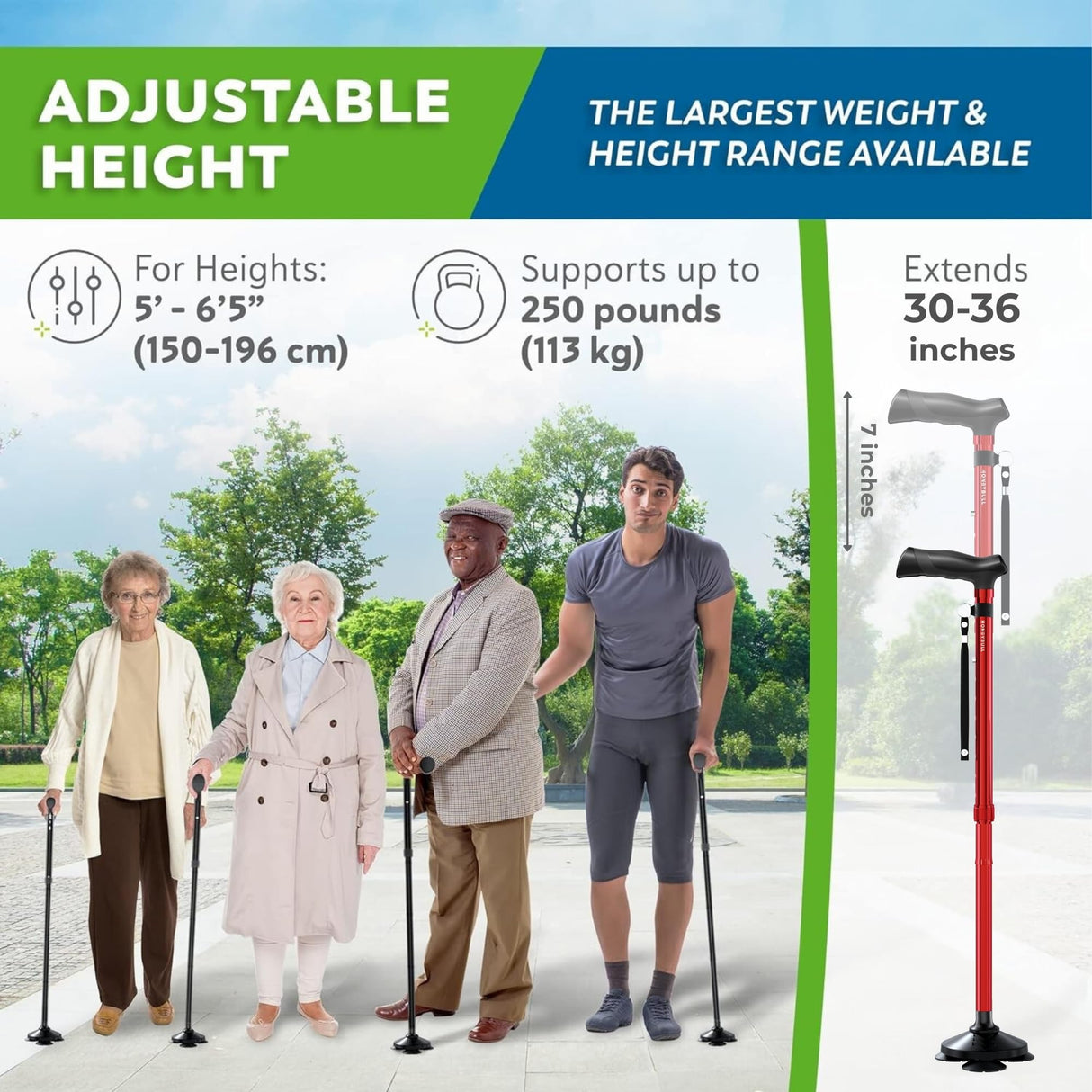 HONEYBULL Walking Cane for Men & Women Foldable, Adjustable, Heavy Duty, Free Standing, All Terrain, Collapsible Walking Sticks for Seniors & Adults (Red)