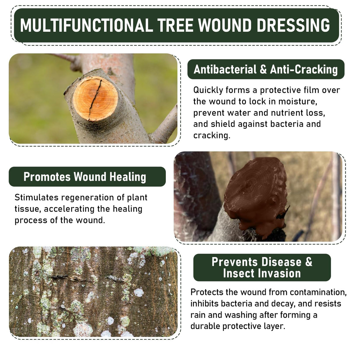 Tree Wound Sealer & Dressing, 500g Tree Pruning Sealer for Cut, Damaged Bark, Grafting – Effective Tree Repair Sealant for Shrub, Bonsai, Rose, Orchard | Horticulture Grade Seal Formula
