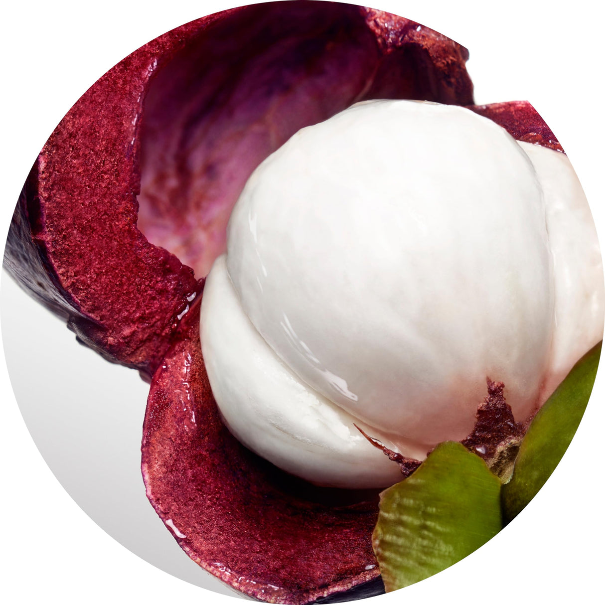 Davidoff Cool Water Woman Eau de Toilette 1.7 fl oz