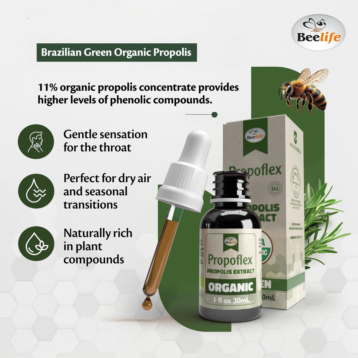 Beelife Organic Brazilian Green Propolis Extract - High Artepillin-C Levels, Antioxidant-Rich Supplement for Overall Wellness - Natural & Kosher- Organic Green Propolis Tincture, 1 Fl. Oz.