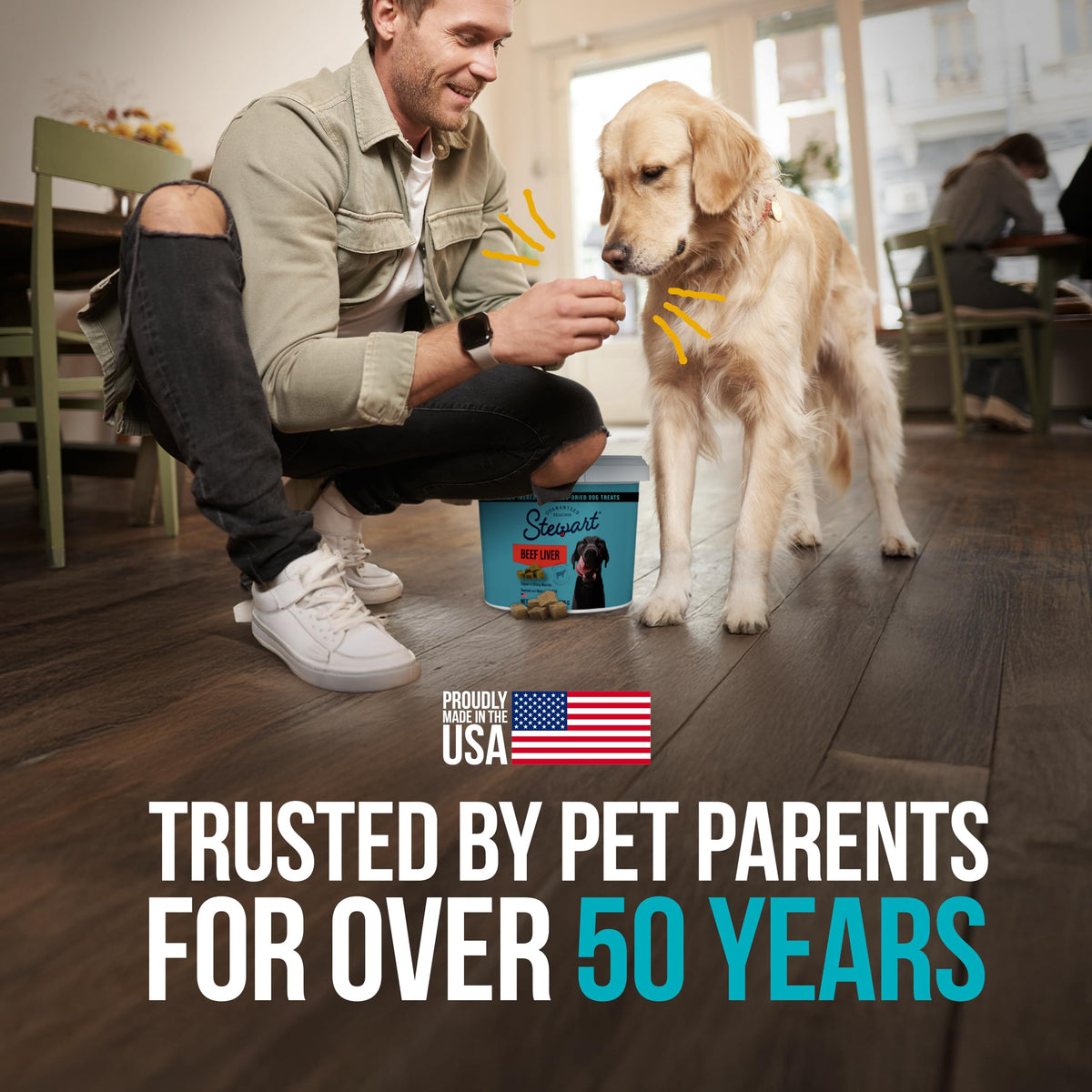 Stewart Freeze Dried Dog Treats, 100% Beef Liver, 21 oz Tub