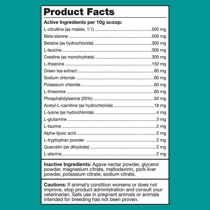 K9 Power Next Generation Go Dog - Water Additive for Dogs, Hydration and Performance Electrolyte Mix, Recovery and Electrolyte Additive, Supports Muscle Function and Endurance, 1lbs