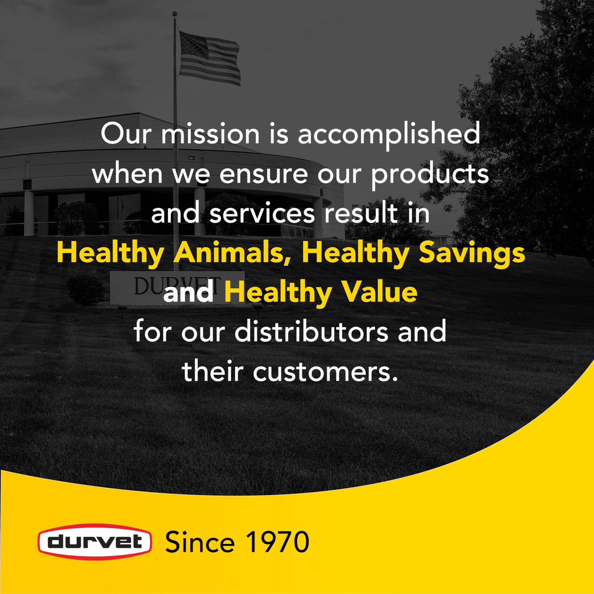 2 Pack Durvet Triple Wormer for Medium and Large Dogs