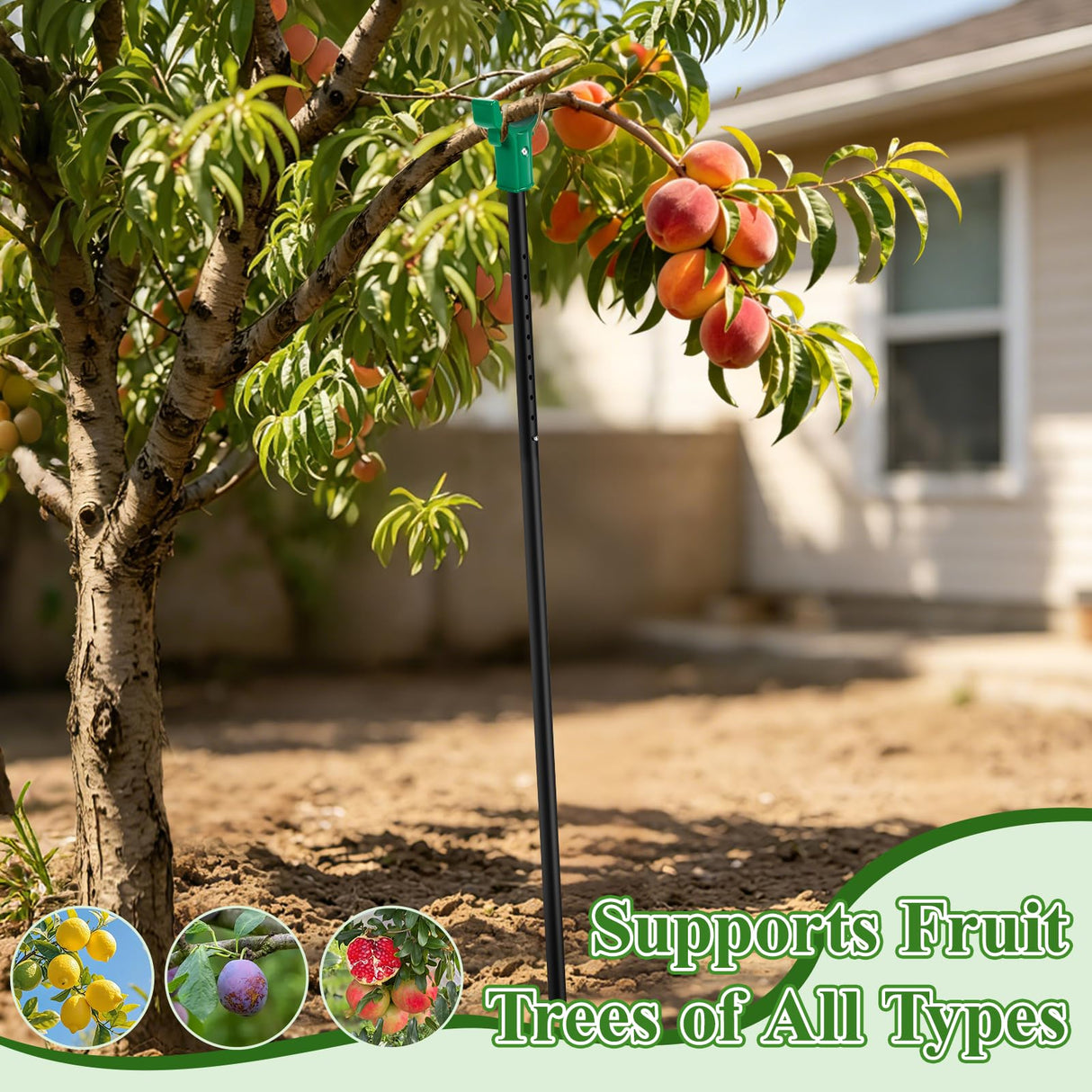 Adjustable Tree Support Pole with Crutch, Fruit Tree Branch Support(2Pack)