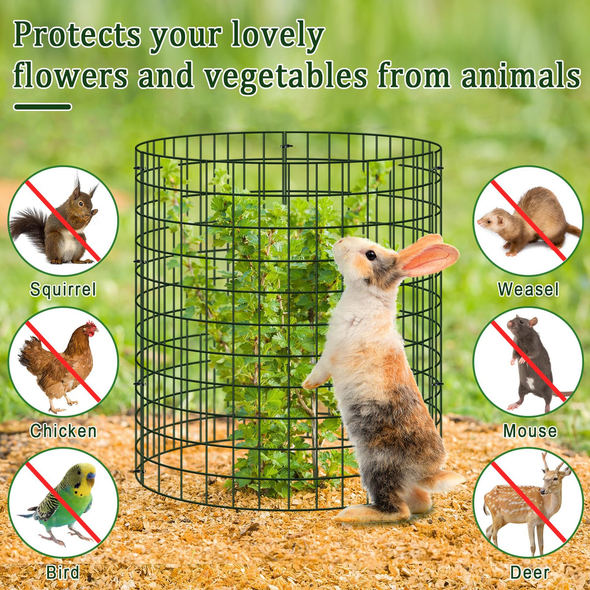 30 Pcs Plant Protectors from Animals, 13.5" X 14" Wire Plant Protector Cage