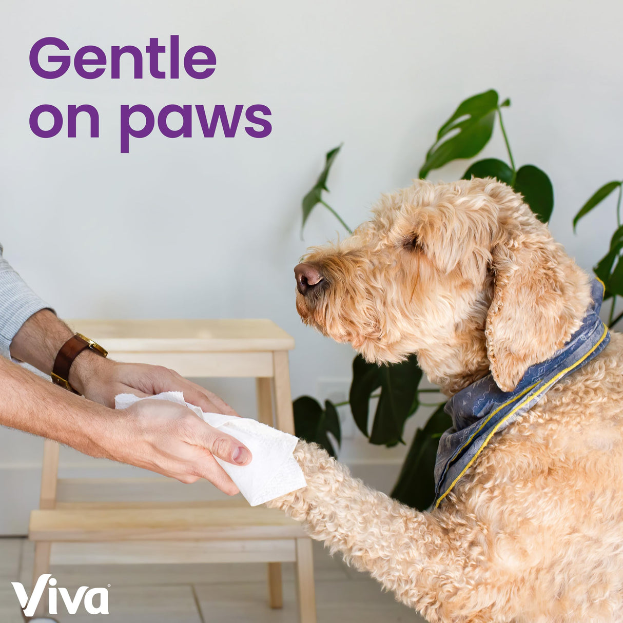 Viva Signature Cloth Paper Towels, 12 Triple Rolls, 129 Sheets per Roll