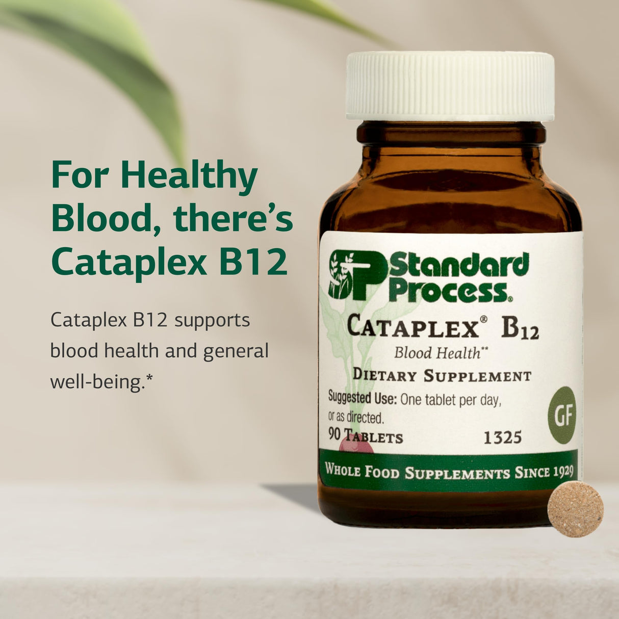 Standard Process Cataplex B12 - Vitamin B12 Supplement for Blood Health Support & Nervous System Function - B12 Vitamin Supplement for Well-Being - Gluten-Free, Non-Dairy & Non-Soy - 90 Tablets