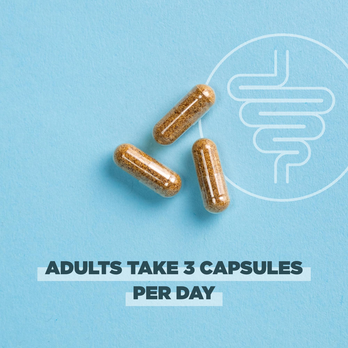 Ancient Nutrition Gut Health Supplement, Regenerative Organic Certified Leaky Gut Capsules, Formulated with Lion’s Mane, Fermented Licorice Root and Spearmint, Gluten Free, Paleo and Keto Friendly, 90