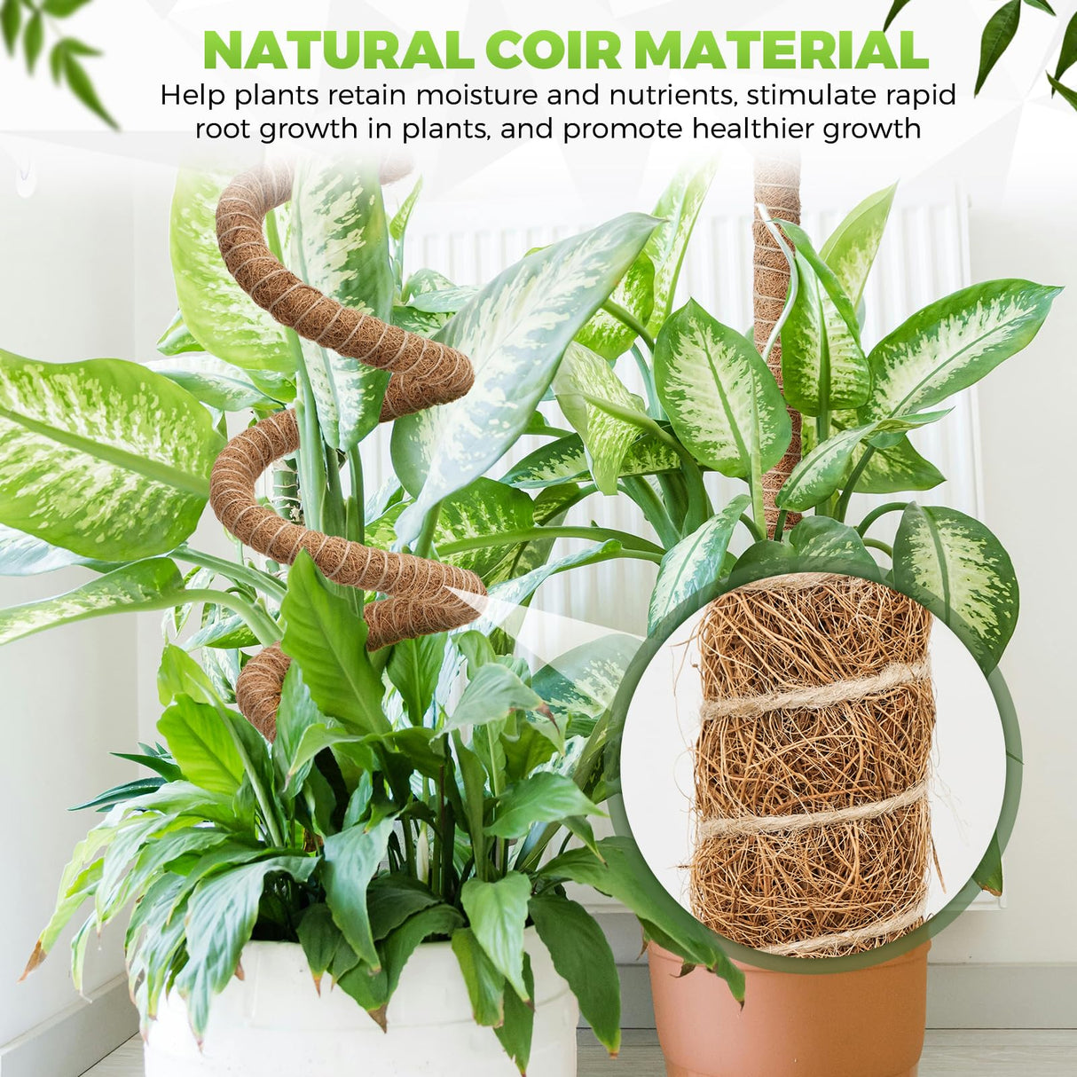 Moss Pole Monstera Plant Support 2 Pack 63 Inch Bendable Monstera Support