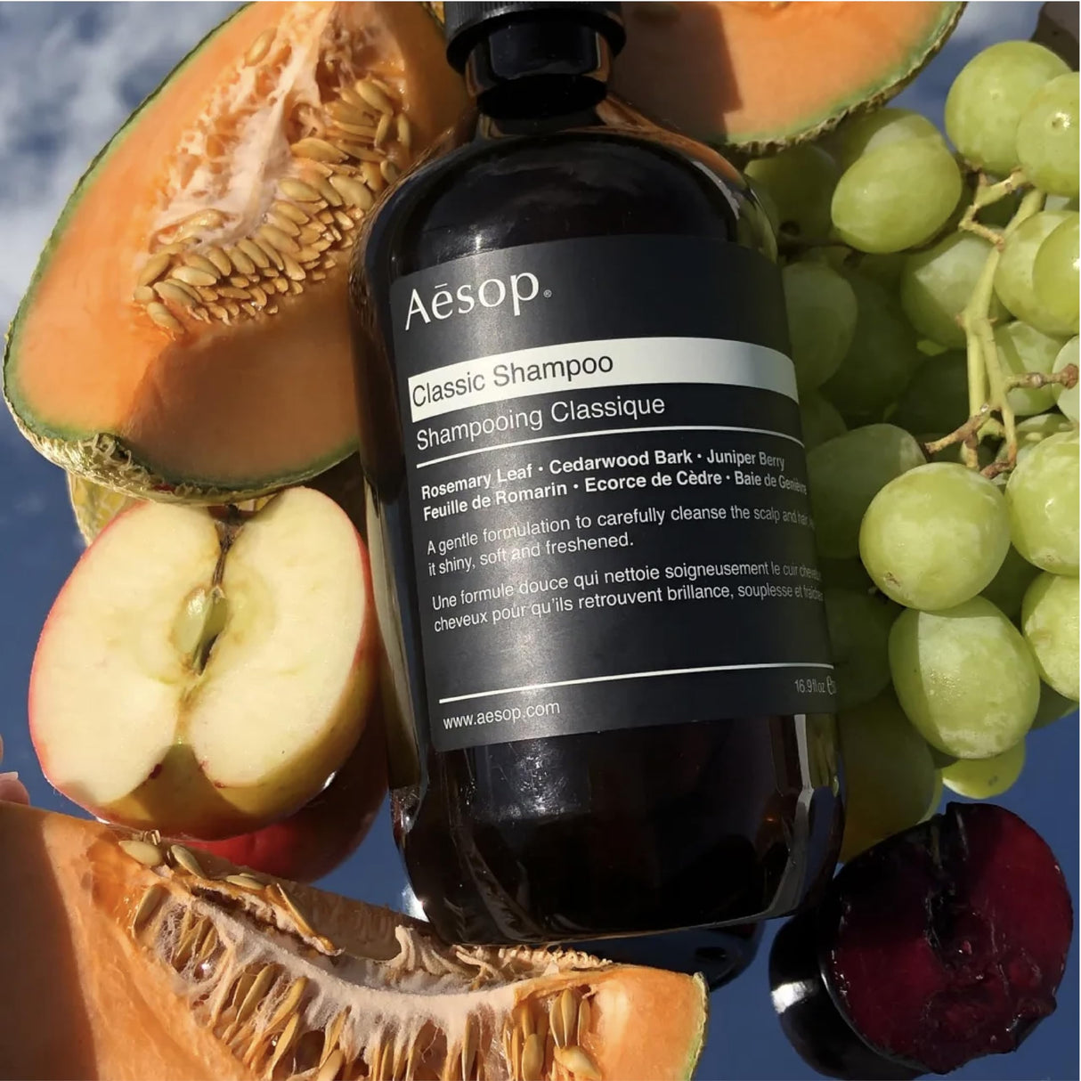 Aesop Classic Shampoo | Gentle Formulation | Leaves Hair Shiny, Soft, Freshened | Rosemary Leaf, Cedarwood Bark, Juniper Berry | 16.9 oz / 500mL