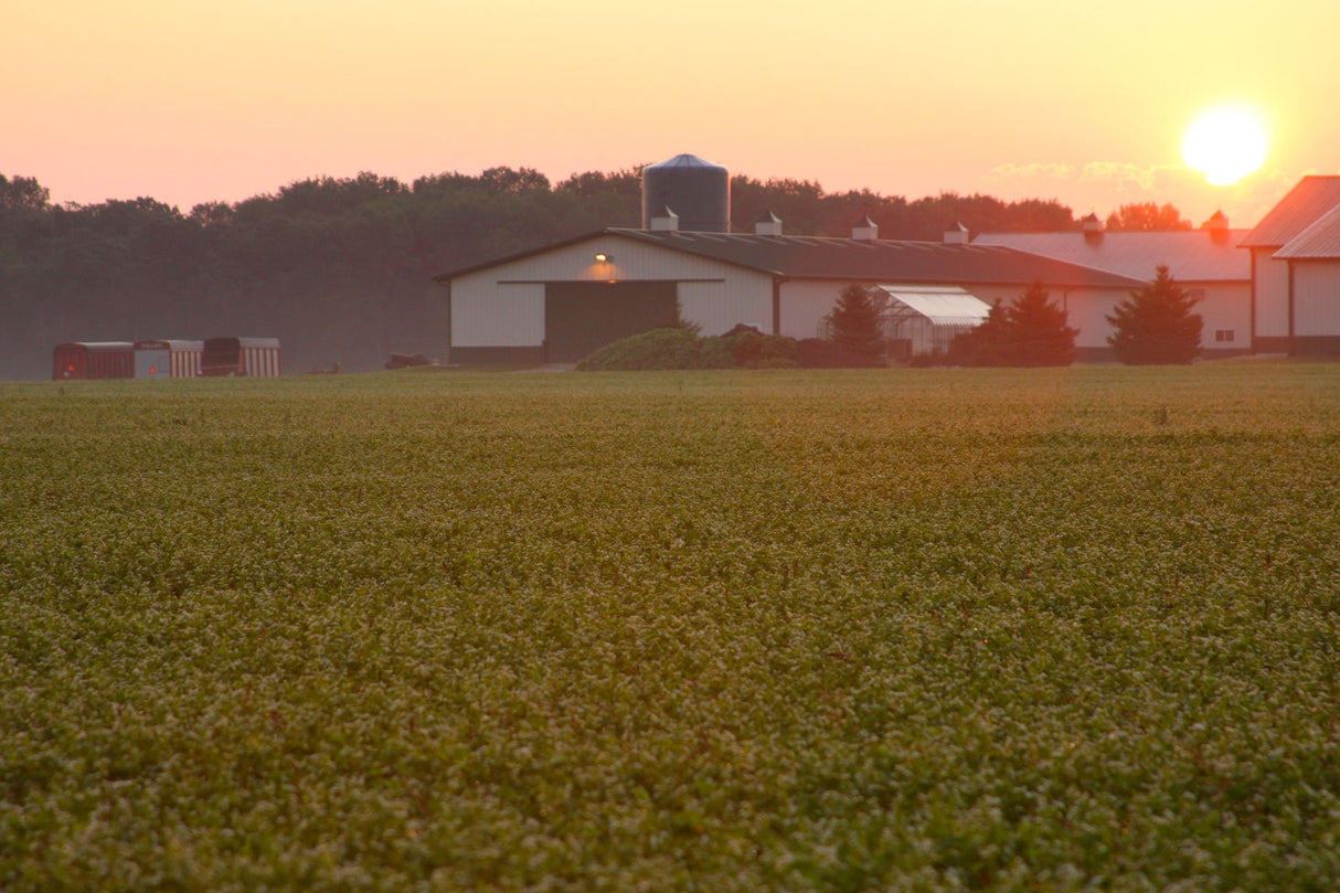 Standard Process - Orchex - 150 Capsules