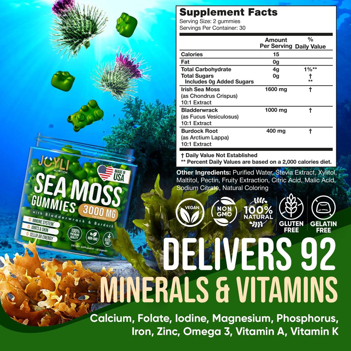 JOYLI Nutrition 2 Pack - Sea Moss Gummies for Adults & Kids – Vegan Irish Sea Moss Supplement with Bladderwrack & Burdock Root – Sugar-Free Immune Support Supplements - 60 Gummy Bears per Pack