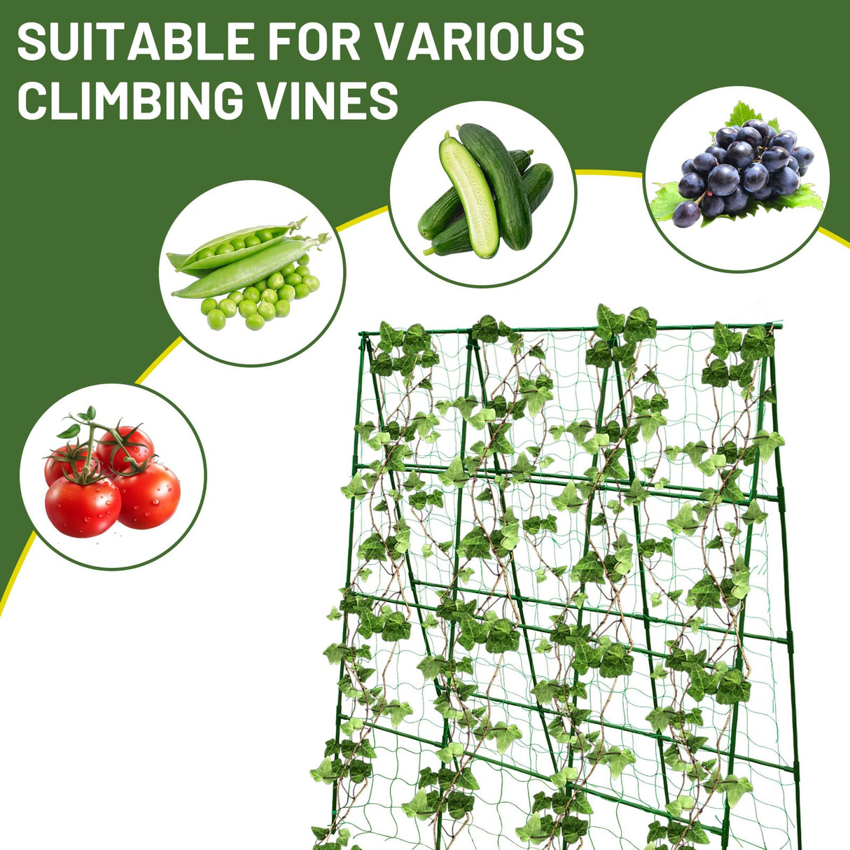 PHENEAHILL Large A-Frame Garden Trellis for Tomatoes, Cucumbers & Heavy Climbing Plants - Rust-Resistant, Heavy-Duty Steel, Perfect for Outdoor Gardens & Vertical Gardening(47" W x 63" H)