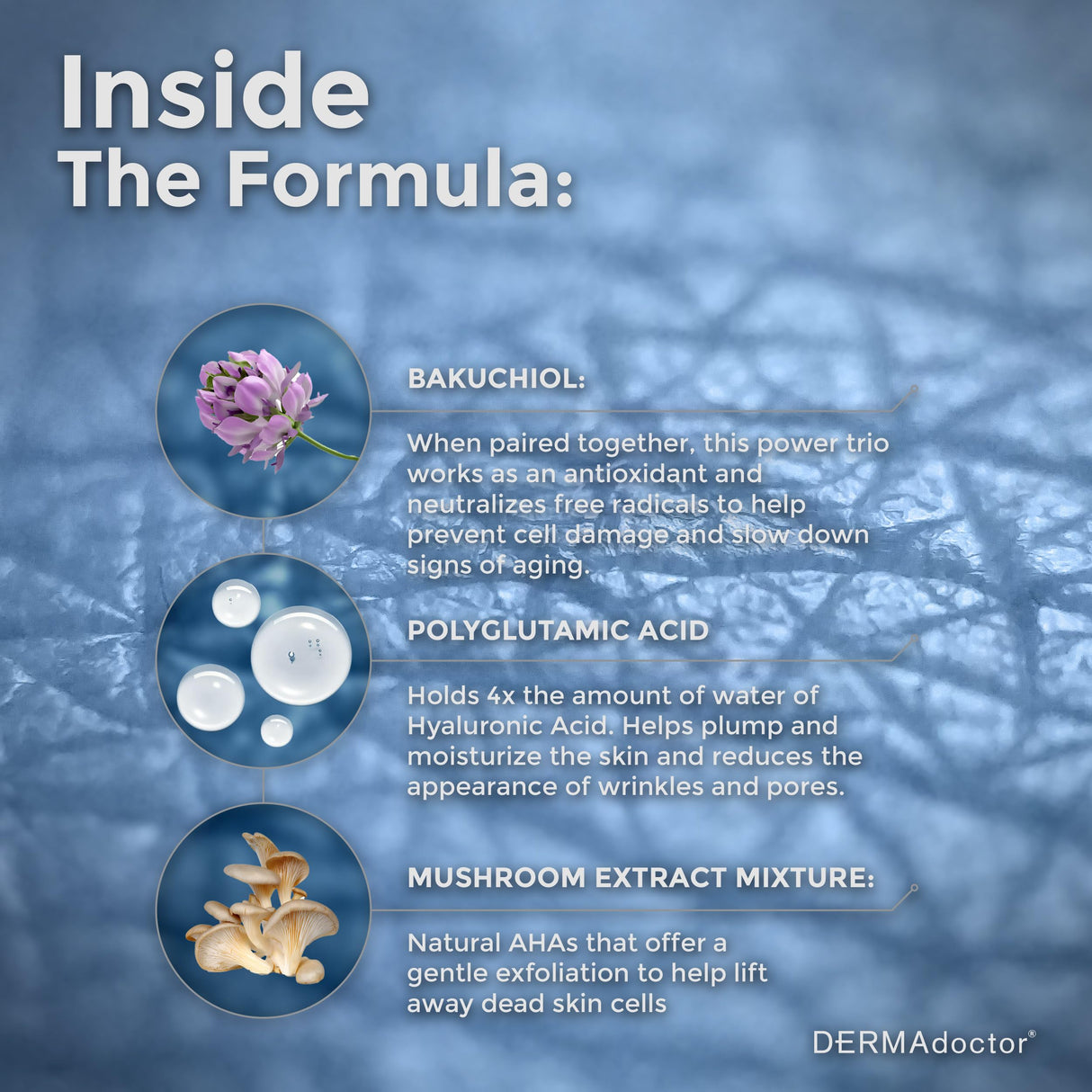 DERMAdoctor Calm Cool + Corrected Dermatologist Formulated Bakuchiol Retinol Alternative Serum for Sensitive Skin; Anti Aging Serum for Fine Lines, Wrinkles, Brightening and Pore Minimizing - 1.01 oz