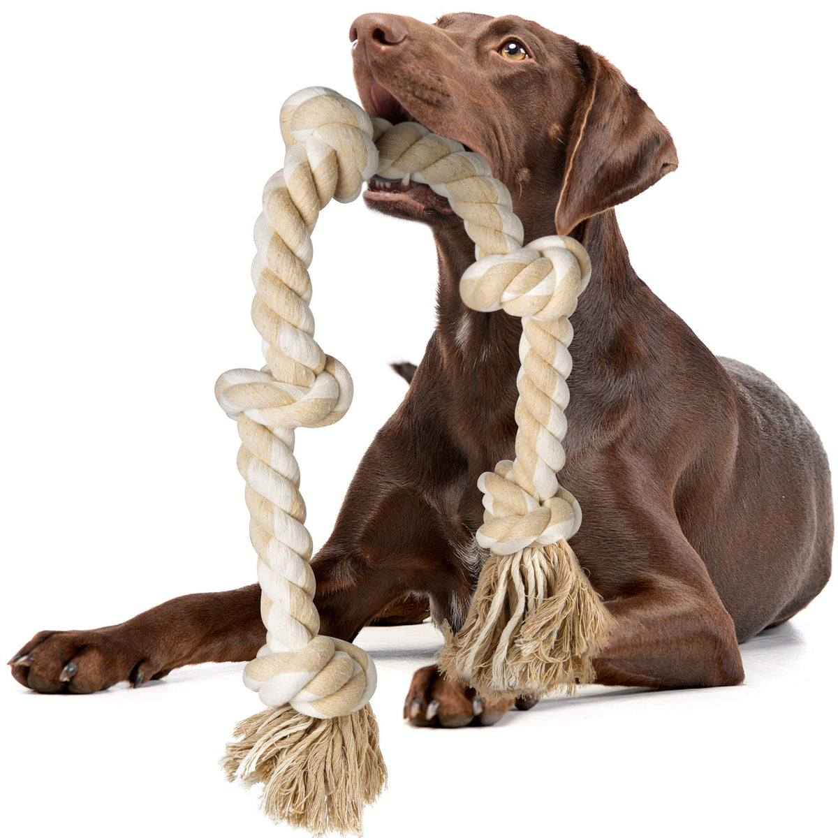 Fida Dog Rope Toys for Aggressive Chewers, Chew Toys for Large Medium Dogs