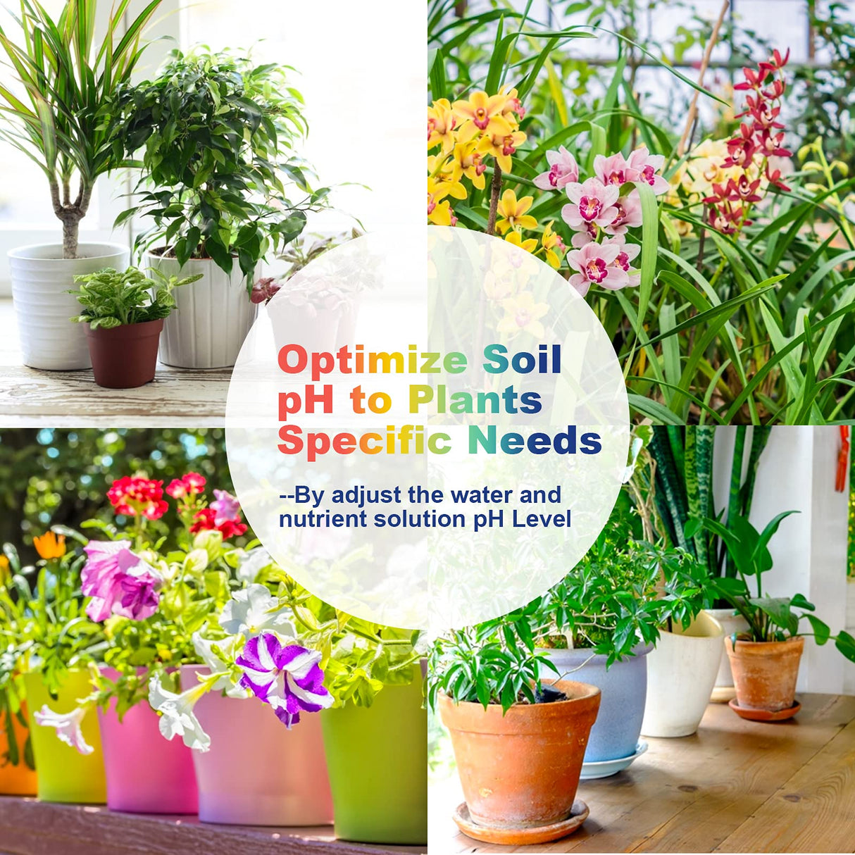 FOLLOWIN pH Up and Down Control Kit for Hydroponics and Soil Gardens