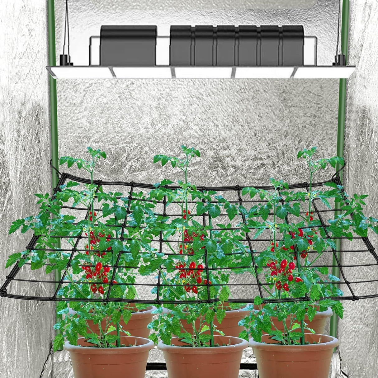6x6 Ft Elastic Plant Trellis Net - 2-Pack Heavy Duty Garden Support Net with 4 Hooks for Grow Tents, Climbing Vegetables, Fruits & Flowers (Black)