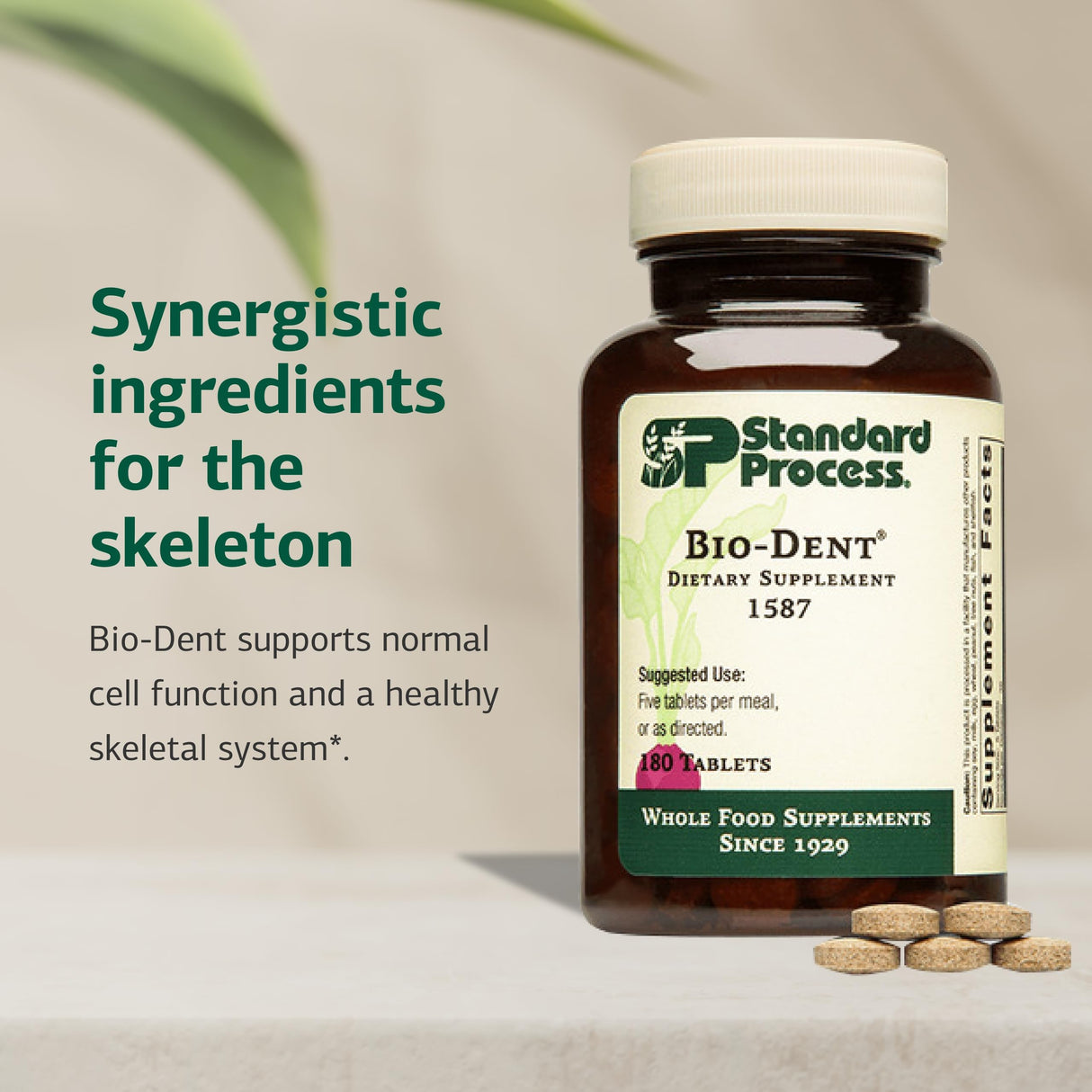 Standard Process Bio-Dent - Supports Bone & Muscle Health - Aids The Production of Cartilage & Collagen - Supports Energy Metabolism - Whole Food-Based Supplement - 180 Tablets