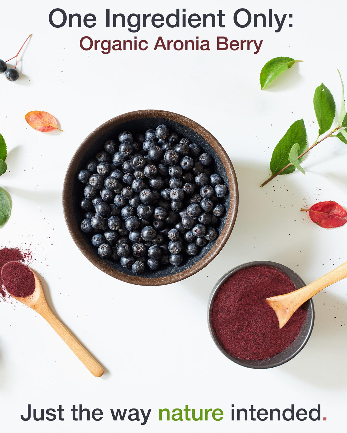 Green Valley Superfoods Organic Aronia Berry Juice Powder, Chokeberry, Antioxidant Rich Anthocyanins (1 Pound)