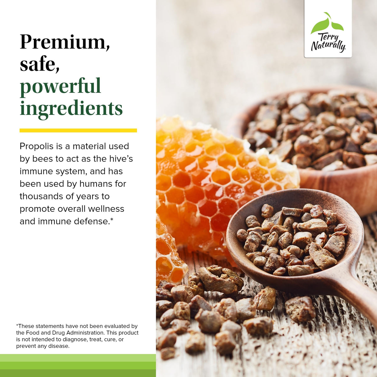 Terry Naturally Propolis Extract EP300 - Upper Respiratory & Immune System Support Supplement - Child & Adult Supplement with Bee Propolis Extract - 60 Capsules