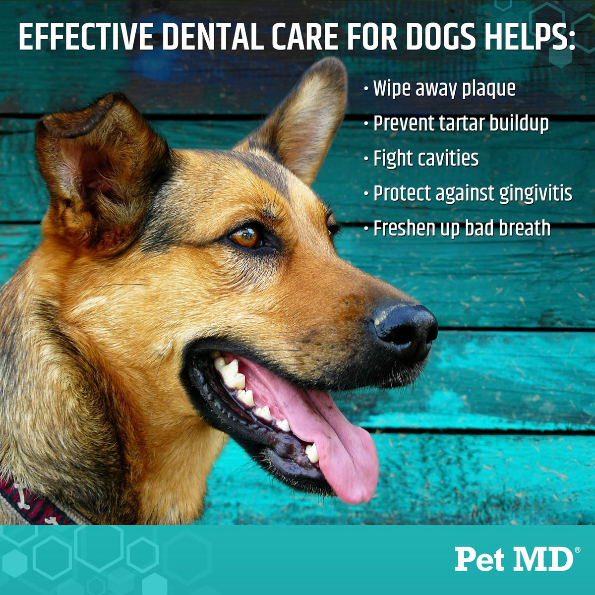 Pet MD Pet Dental Finger Wipes for Dogs - Fresh Apple & Mint Flavor - 50ct