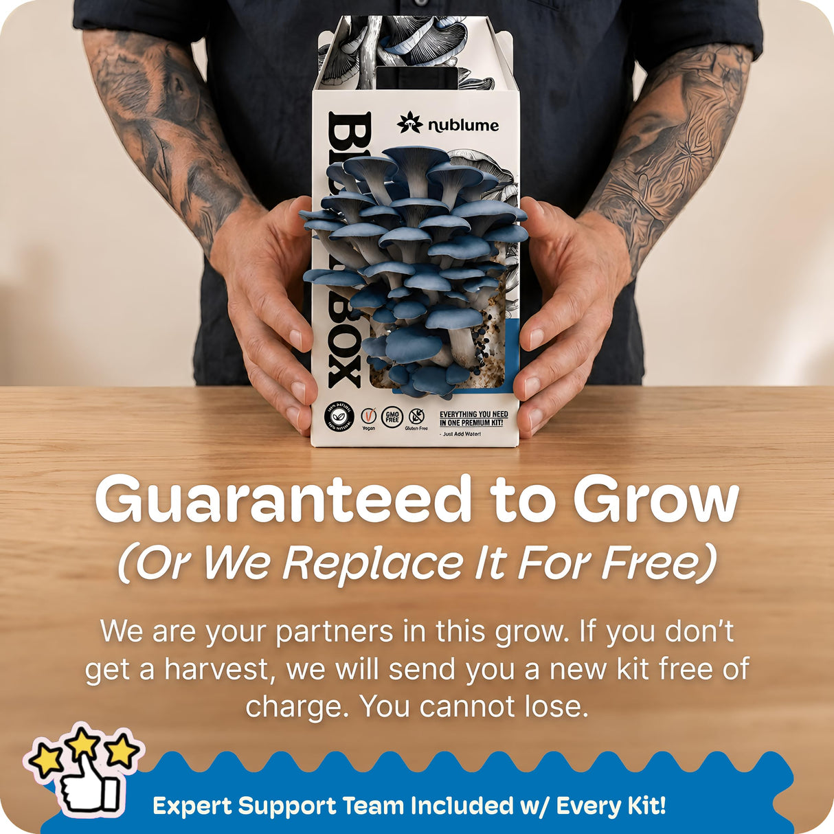 BloomBox Blue Oyster Mushroom Grow Kit – Spray & Grow – Pre-Inoculated Indoor Mushroom Farm – Beginner Friendly – Harvest Fresh Gourmet Mushrooms in Days – Perfect Gift