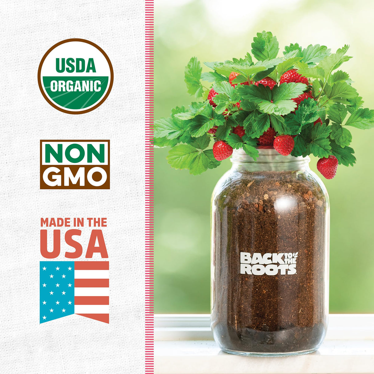 Back to The Roots Organic Strawberry Grow Kit — Grows Year Round, Includes Everything Needed for Planting