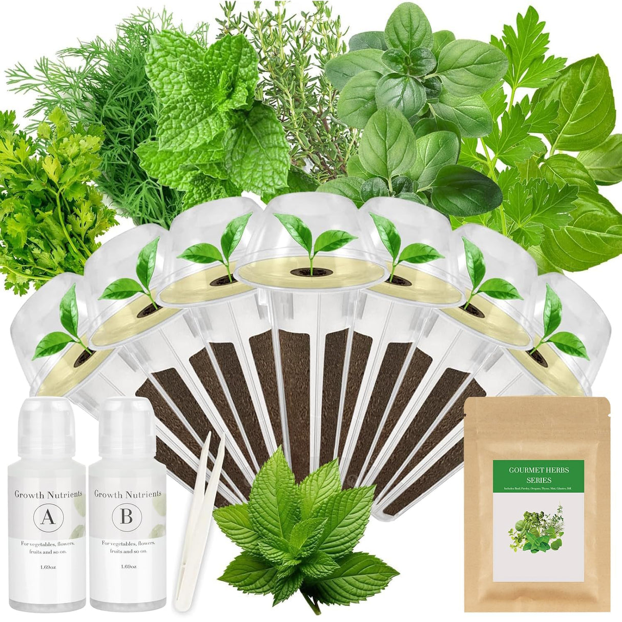 Gourmet Herb Seed Pod Kit for AeroGarden, idoo, Ahopegarden, MUFGA Hydroponics Garden with Basil, Parsley, Thyme, Mint, Cilantro, Dill, Oregano - Compatible with All Hydroponics (7-Pod)