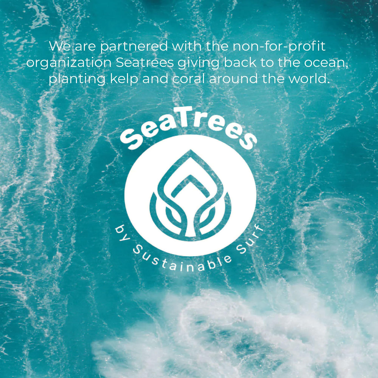 Sea-el Bakuchiol Kelp Eye Serum Plant-Based Skincare Naturally Boosts Under Eye Glow Targets Deep Wrinkles & Supports Smooth Skin - Retinol Alternative for Women or Men, Vegan - .5 oz