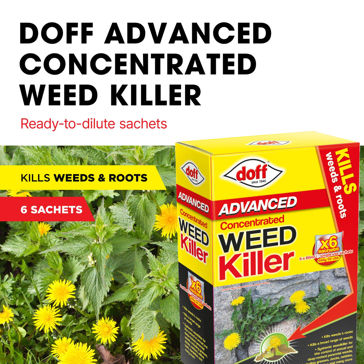 Doff Advanced Concentrated Weedkiller - 6 Sachets for Dilution in Water for Garden Protection – Kills Deep Rooted Weeds from Pathways to Driveways - Long Lasting Weed Control – Strong Weed Killer