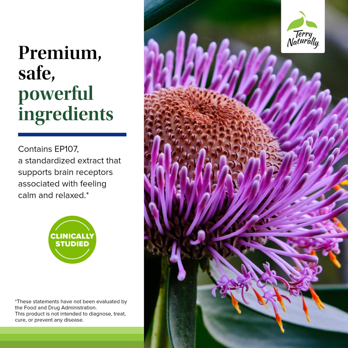 Terry Naturally AnxioCalm - 75 Tablets - Fast-Acting, Non-Drowsy, Non-Addictive Formula - Safe for Adults & Children 4+ Years - Non-GMO - 37 Servings