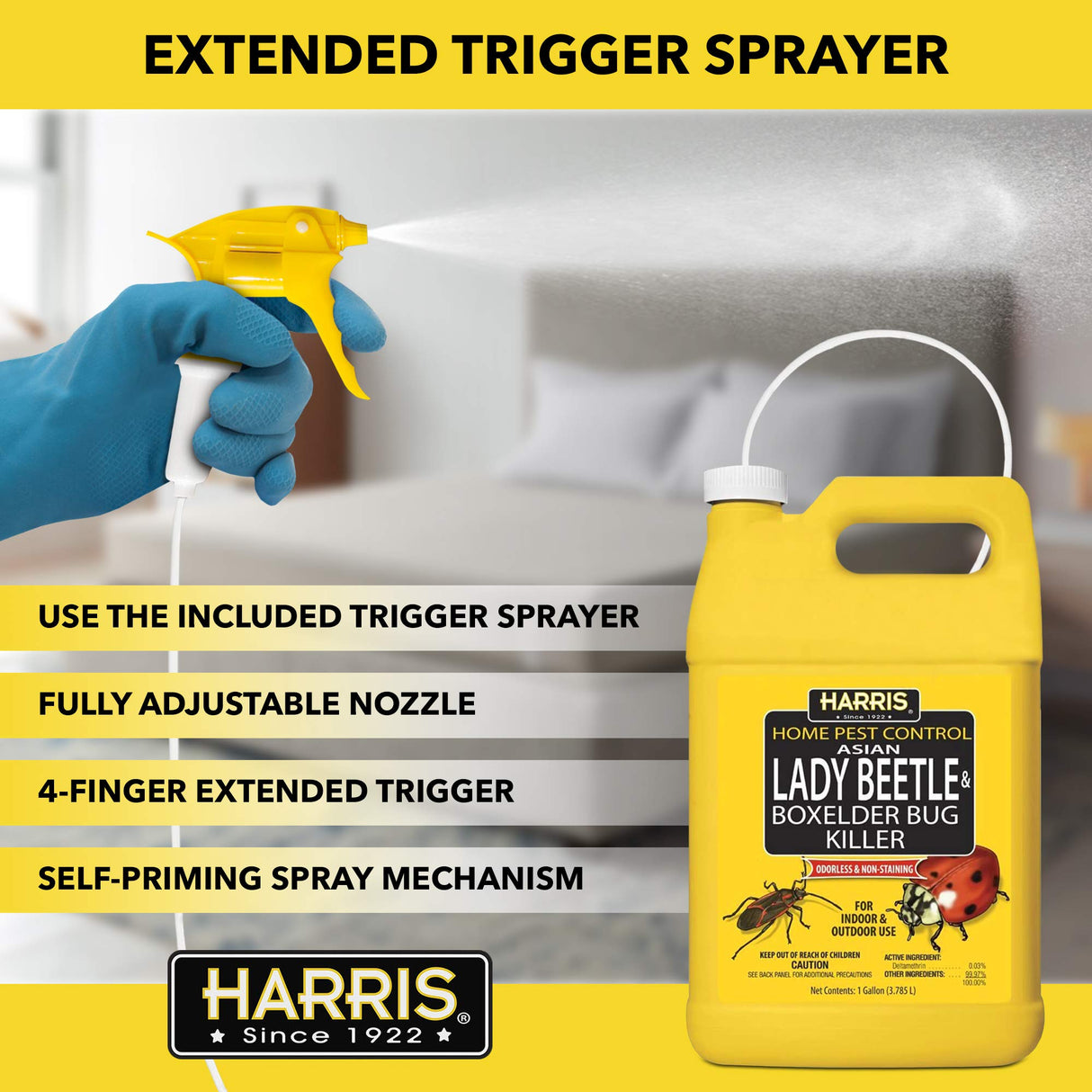 Harris Asian Lady Beetle, Japanese Beetle, and Box Elder Killer, Liquid Spray with Odorless and Non-Staining Extended Residual Kill Formula (Gallon)