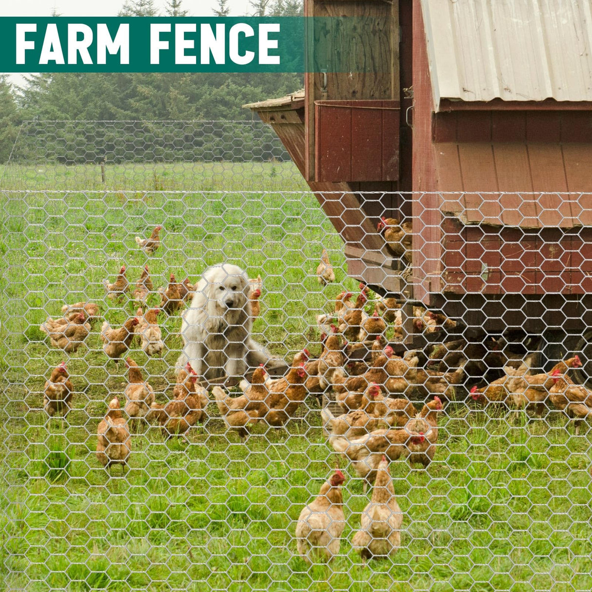 GlikCeil 48 in X 200 ft Chicken Wire Fencing Metal Floral Chicken Wire Mesh for Crafts Poultry Garden, 1 Inch Hexagonal Galvanized Hardware Cloth Netting for Poultry Coop Barrier Rabbit Cage(Silver)