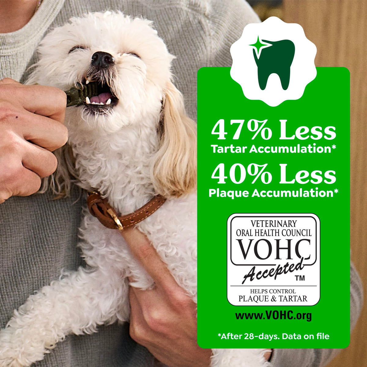 Greenies Large Natural Dental Dog Treats, Original Flavor, 24 Count