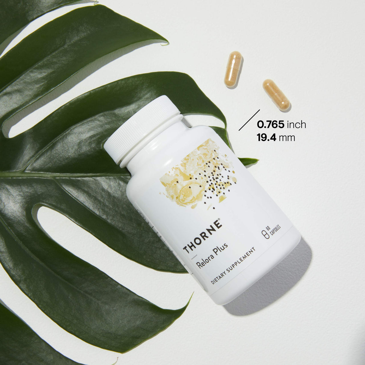 THORNE - Craving and Stress Support (Formerly Relora Plus) - 5-MTHF, B Vitamins, Folate, and Plant Extracts to Support Sleep, Cravings, and Stress* - 60 Capsules - 30 Servings