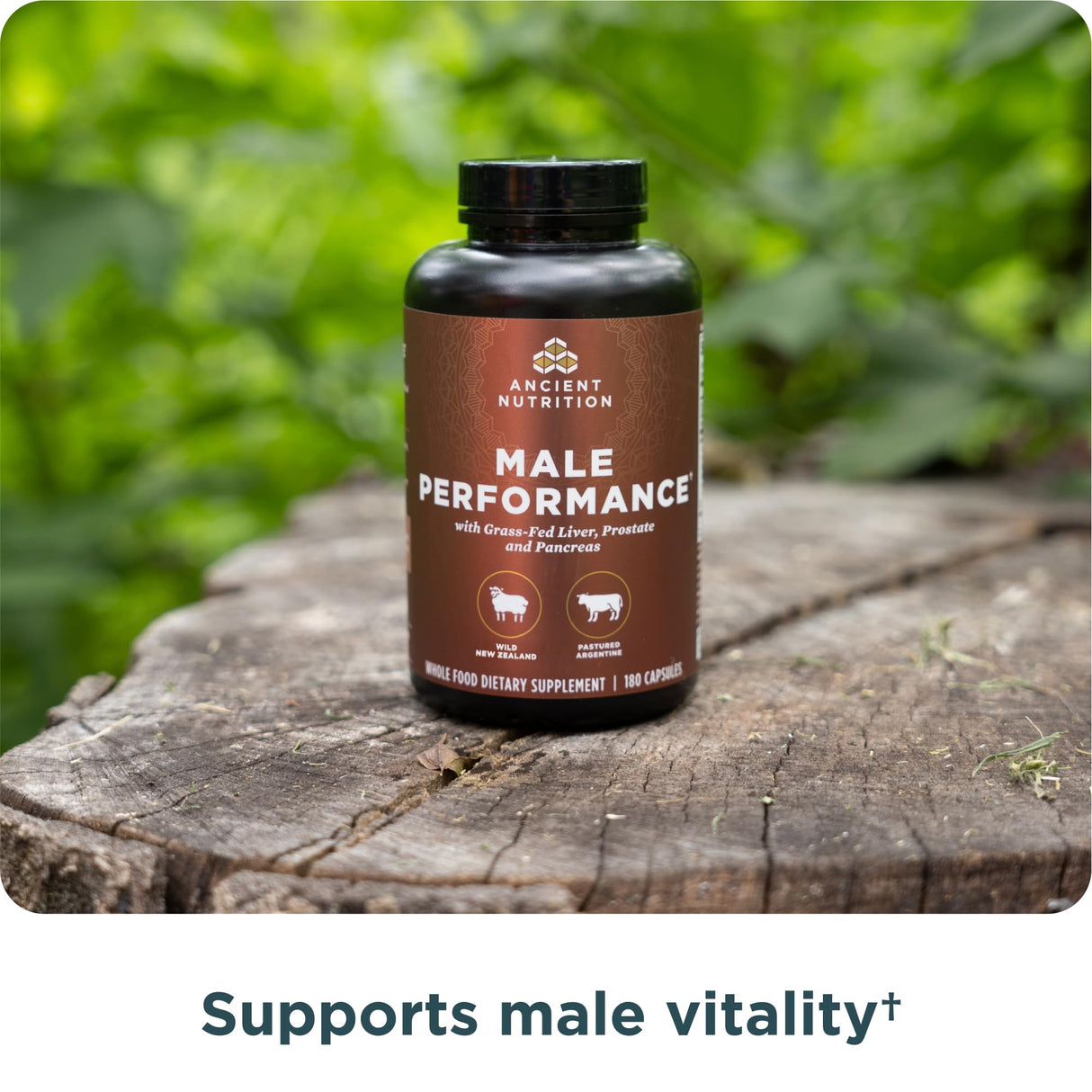Ancient Nutrition Organ Supplements for Men, Grass-Fed and Wild Organ Complex Capsules, Liver, Prostate, Pancreas Supports Male Performance, Healthy Aging, 180 Ct